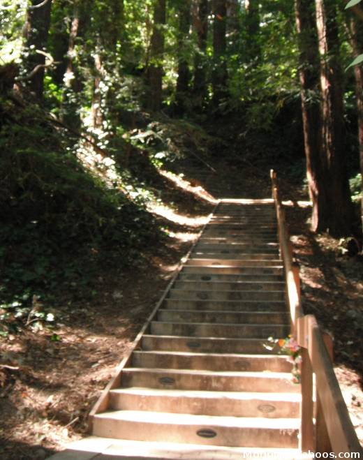 Mill Valley CA: DIPSEA Stairs