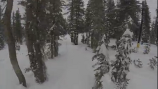 POV Video of skiing the trees off of lift 12 at Mammoth Mountain Ski Resort