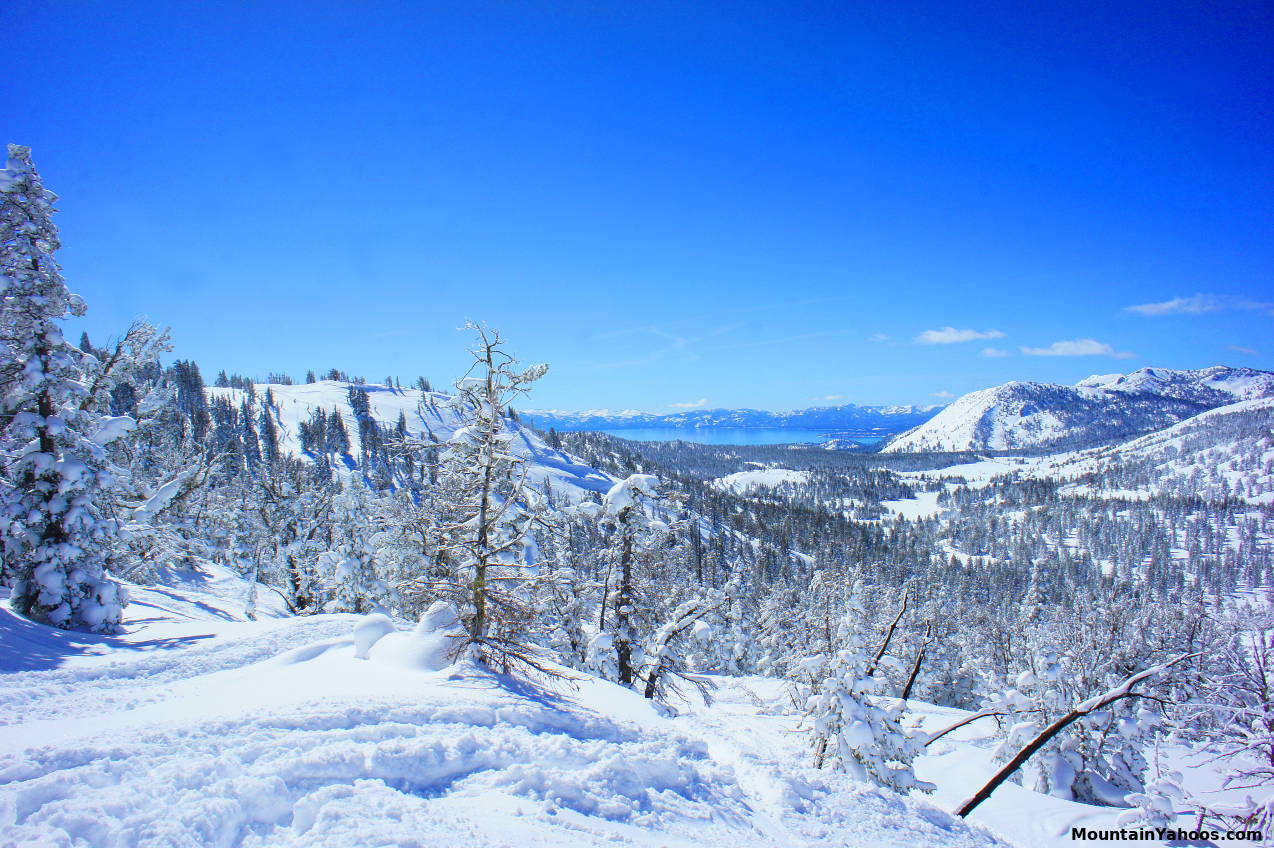 View of Lake Tahoe