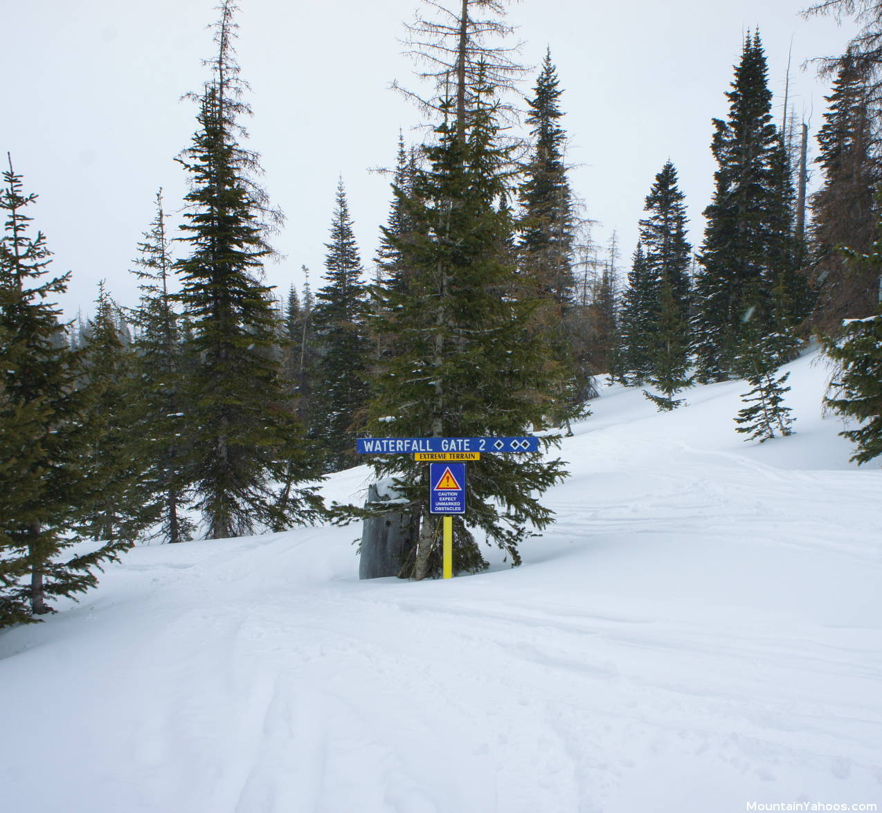 Wolf Creek CO (US) Ski Resort Review and Guide